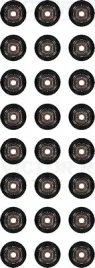 zestaw-uszczelniaczy-trzonek-zaworu-bmw-3-5-25-30b-05-11-victor-reinz-12