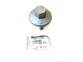 sruba-walka-rozrz-renault-megane-iii-12-tce-renault-123094581r