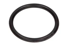 oring-elektrozaworu-bmw-vanos-duzy-34x352-1-e87-116i-3-e46-5-e60-5-e6