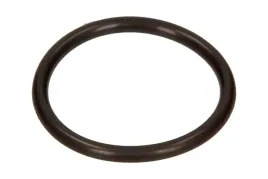 uszczelniacz-swiecy-zaplonowej-bmw-3-e46-x3-e83-16-20-bmw-1137751400
