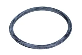 uszczelka-pompy-wody-vw-golf-98-13-53x4mm-vag-06a121119