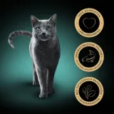 sheba-classics-rybne-smaki-32x85g-marka-sheba