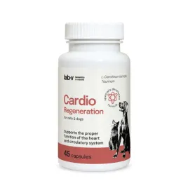 lab-v-cardio-regeneration-wsparcie-prawidlowego-funkcjonowania-pracy