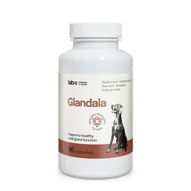 lab-v-glandala-wsparcie-gruczolow-okoloodbytowych-i-przewodu