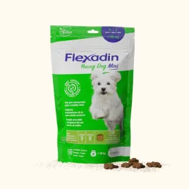 vetoquinol-flexadin-young-dog-mini-kaski-dla-psa-60-sztuk