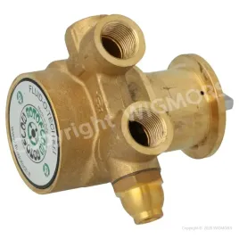 rotoflow-compact-vane-pump-rotary-vane-pump-fluid-o-tech-po201v-3-8