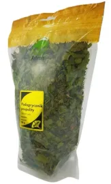 astron-podagrycznik-pospolity-herbata-100-g