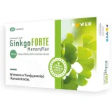 puwer-memoryflav-ginko-forte-120-mg-60-tabletek
