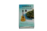 hak-wieszak-scienny-na-gitare-ambra-ags-20-stan-nowy