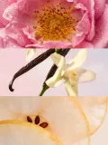 perfum-damski-lido-yodeyma-stan-opakowania-oryginalne