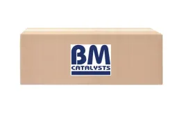 katalizator-volvo-s60-s80-v70-24-bm-catalysts-bm91399h