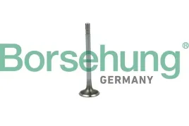 zawor-ss-vw-1-2tdi-1-4tdi-1-6tdi-12v-16v-borsehung-b19020