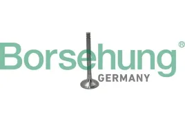 zawor-wyd-vw-1-9tdi-2-5tdi-8v-10v-borsehung-b19012