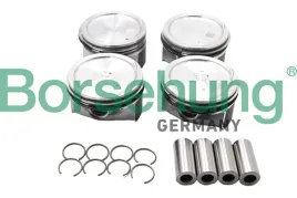 tlok-skoda-rapid-16-15-borsehung-b18987