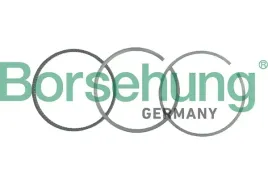 pierscienie-tlokowe-vw-19tdi-7950-std-borsehung-b19040