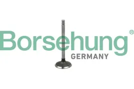 zawor-ss-vw-1-4-1-9-2-0-2-5tdi-6v-8v-10v-borsehung-b19029
