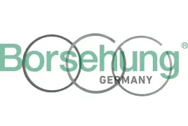 pierscienie-tlokowe-audi-a4-32fsi-05-borsehung-b19049