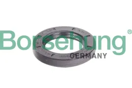 simer-skrz-bieg-vw-golf-02-24x38x6-borsehung-b12191