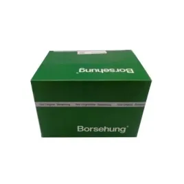 simer-walka-sprz-vw-golf-79-219x40x8-borsehung-b12194