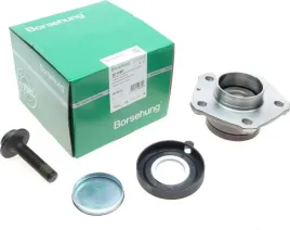 lozysko-kola-vw-t-a4-a5-q5-kpl-z-sruba-borsehung-b11288