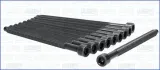 sruby-glowicy-seat-leon1-02-ajusa-81036300