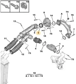uszczelka-przewodu-powietrza-citroen-berlingo-05-psa-9804177480
