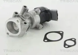zawor-egr-citroen-27hdi-peugeot-land-rover-triscan-8813-10009