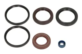 zestaw-uszczelniaczy-olejowych-silnika-kpl-moto-aprilia-atlantic-4t-lc-50