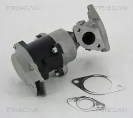 zawor-egr-citroen-27hdi-peugeot-27hdi-triscan-8813-10008