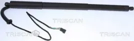 silownik-elektryczny-pokrywy-bagaznika-bmw-x3-09-10-08-17-triscan-8710-1130