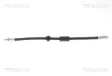 przewod-ham-elast-renault-p-trafic-04-le-pr-triscan-8150-10123