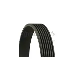 pasek-wielorowkowy-7pk1675-continental-7pk1675
