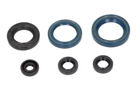 zestaw-uszczelniaczy-olejowych-silnika-kpl-moto-ktm-egs-125-1995-1997-cen