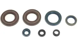 zestaw-uszczelniaczy-olejowych-silnika-kpl-moto-ktm-duke-620-1994-1995-7