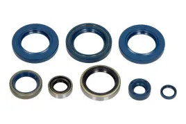 zestaw-uszczelniaczy-olejowych-silnika-kpl-moto-ktm-duke-640-2003-2006-8
