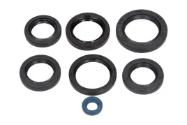 zestaw-uszczelniaczy-olejowych-silnika-kpl-moto-kawasaki-kfx-700-2004-200