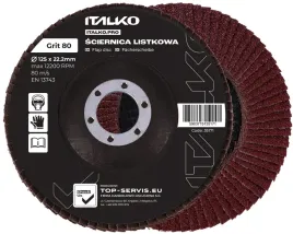 tarcza-scierna-sciernica-listkowa-lamelka-125-p80