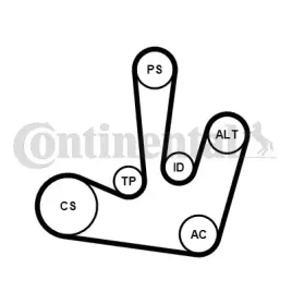 zestaw-paska-wielorowk-renault-19dci-20-laguna-ii-continental-6pk1795k1