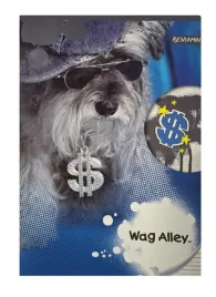 beniamin-zeszyt-a5-w-trzy-linie-wag-alley-16-kartek