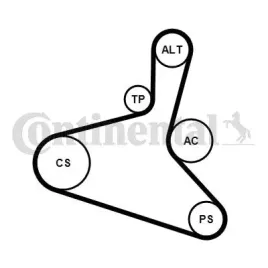 zestaw-paska-wielorowk-vw-19tdi-continental-6dpk1195k2