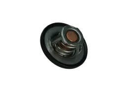 termostat-renault-89c-clio-r19-maxgear-67-0100