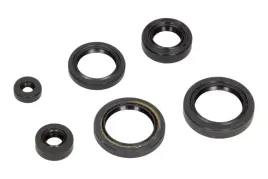 zestaw-uszczelniaczy-olejowych-silnika-kpl-moto-honda-trx-400-fa-fourtrax