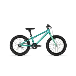 rower-dzieciecy-kellys-naga-air-belt-fresh-green-18