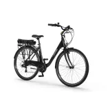 rower-elektryczny-ecobike-basic-gw-36v-116-ah-stan-nowy