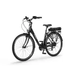 rower-elektryczny-ecobike-basic-gw-36v-116-ah-rozmiar-ramy-19-cali