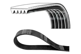 pasek-wielorowkowy-5pk2020-dayco-5pk2020
