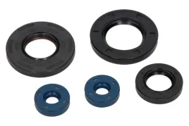 zestaw-uszczelniaczy-olejowych-silnika-kpl-moto-aprilia-leonardo-4t-125-1