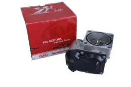 przepustnica-kia-carnival-sorento-sportage-hyundai-santa-fe-tucson-ix35