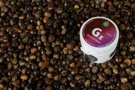 guarana-do-waporyzacji-susz-ziola-pobudza-kofeina
