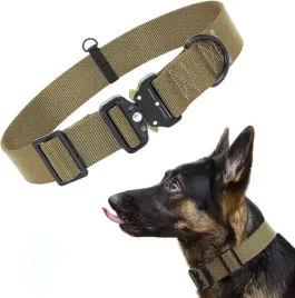 obroza-dla-psa-nylonowa-z-metalowa-klamra-m-zielona-36-50-cm-trwala